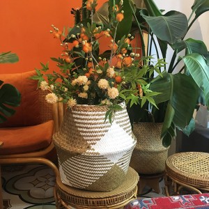 Животная корзина для морской боки